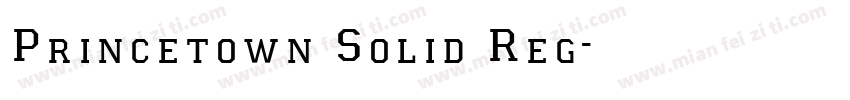 Princetown Solid Reg字体转换